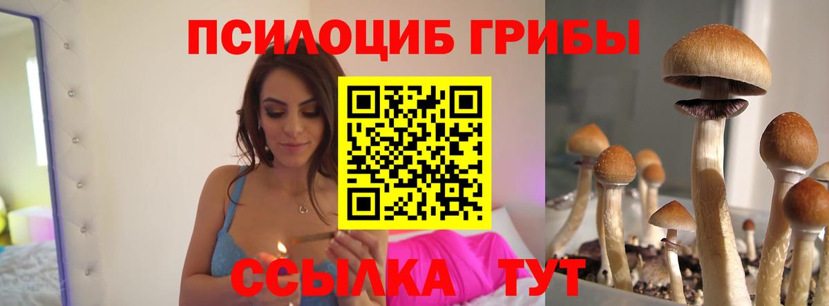 Псилоцибиновые грибы Magic Shrooms  Вход с VPN  Лабытнанги 
